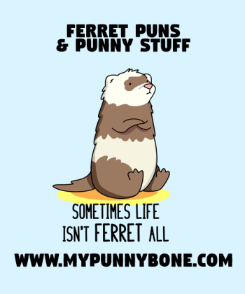 40+ Ferret Puns And Jokes That Are Fur Real Funny