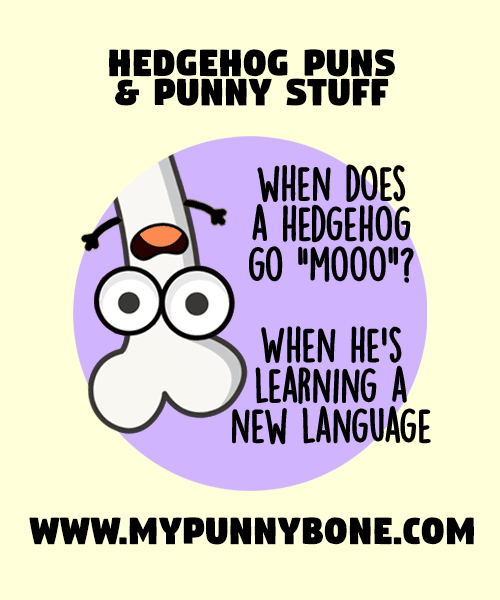 Hedgehog Puns And Jokes