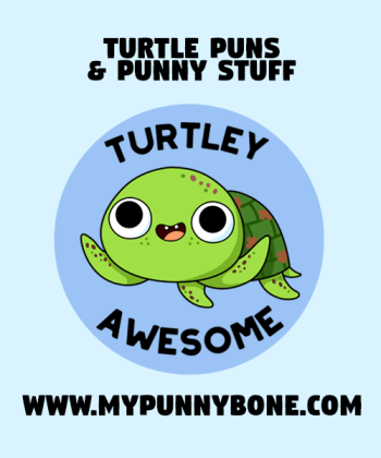 80+ Turtle Puns And Jokes That Are Turtley Awesome